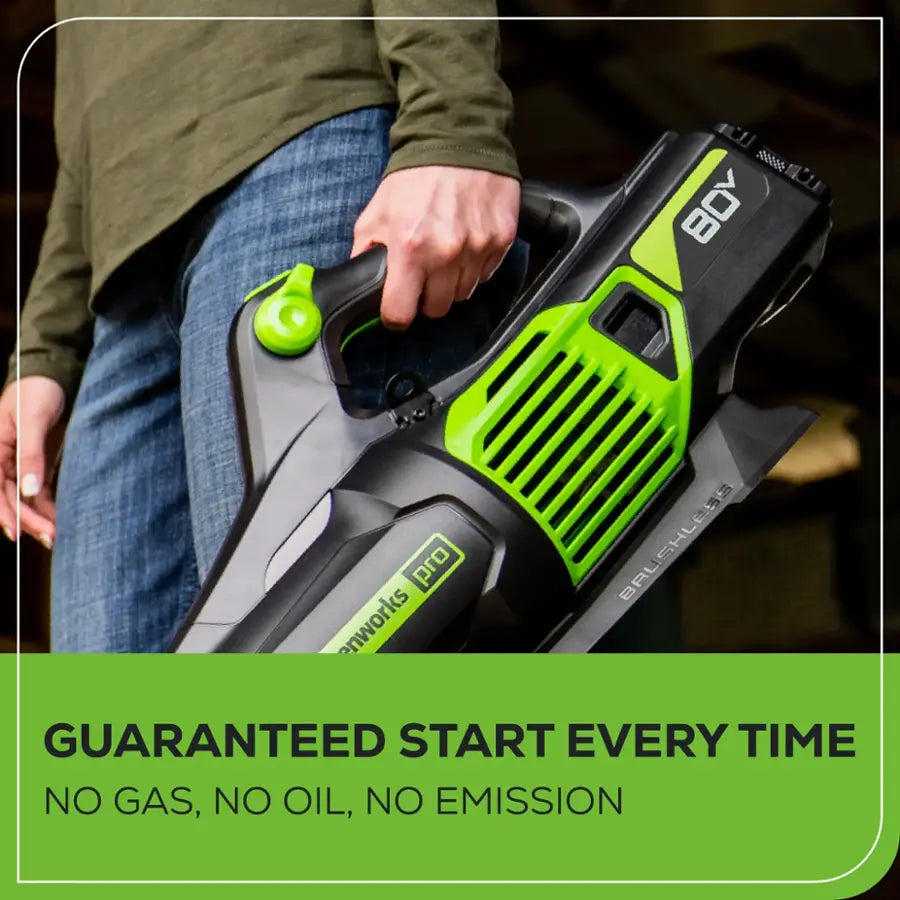 Greenworks - 80-Volt 170 MPH 730 CFM Cordless Handheld Blower (1 x 2.5Ah Battery and 1 x Charger) - Green