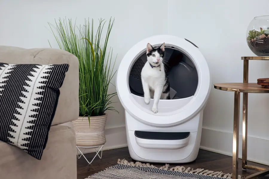 Whisker - Litter-Robot 4 Smart App-Controlled Self-Cleaning Litter Box Core Accessories Bundle