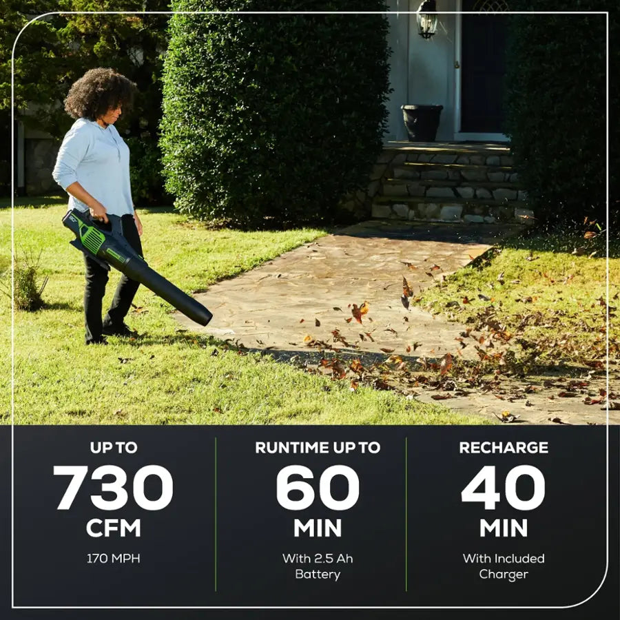 Greenworks - 80-Volt 170 MPH 730 CFM Cordless Handheld Blower (1 x 2.5Ah Battery and 1 x Charger) - Green